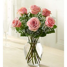 Loves Embrace Roses - Pink