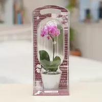 Best Sellers Flowers