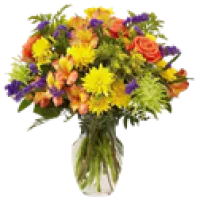 Get Well Flowers