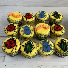 Ladybugs Beetles Catepillars Bugs Cupcakes