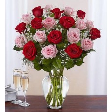 Ultimate Elegance Long 48 Stems Pink & Red Roses