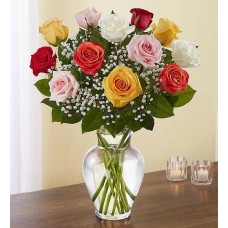 Rose Elegance Premium Long 24 Stems Assorted Roses