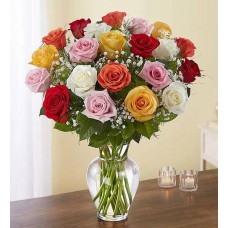 Ultimate Elegance Long 48 Stems Assorted Roses