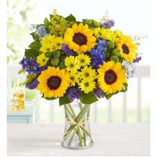 Fields of Europe® Summer (Medium)