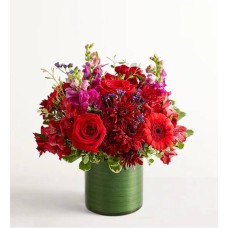 Vivid Devotion (Small)
