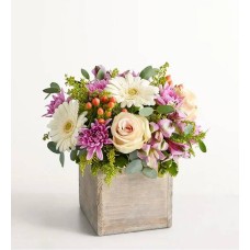 Seraphina's Garden (Small)