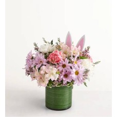 Peter's Delight (Small)