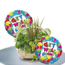 Freshness to keep you well