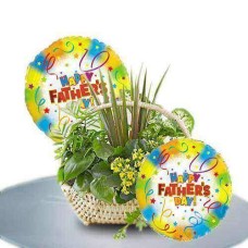 Evergreen basket