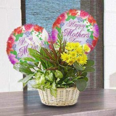 Evergreen basket