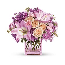 Giftblooms Possibly Pink (Standard)