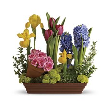 Spring Favorites (Standard)