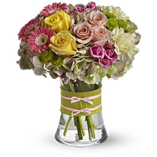 Fashionista Blooms (Standard)