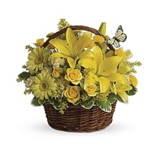 Basket Full of Wishes (Standard)