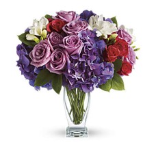 Giftblooms Rhapsody in Purple (Standard)