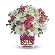 Giftblooms Polka Dots and Posies (Standard)