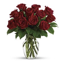 Enduring Passion - 12 Red Roses (Standard)