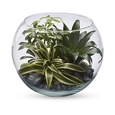 Sphere Of Tranquility Terrarium