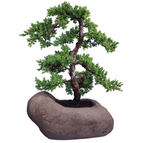 Green Mound Juniper In Rock Pot - DT8001GMJR
