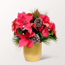 Pink Poinsettia with 2 Ferrero Rocher