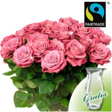 20 pink FAIRTRADE roses in a bunch with vase