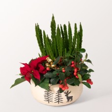 Arrangement Winter Magic