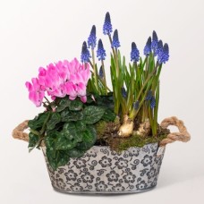 Fruhlingsfreude in a Zink Bowl