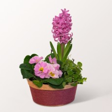 Fruhlingsbote in a Light Pink Basket