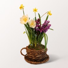 Fruhlingsflirt in a Cup Basket