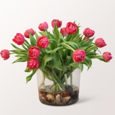 Fruhlingsfrische in a Glass (15 tulips)