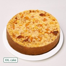 Large Apricot Cake