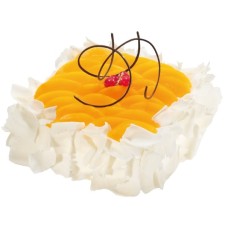 mango vacation(15 Cm)