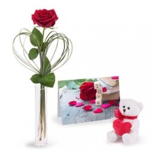 Love Combo: Red Rose and Tedd (Basic)