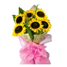 Sunflower admiration (Basic)