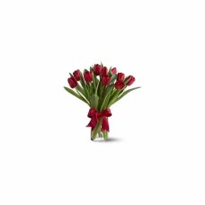 Bouquet of Red Tulips