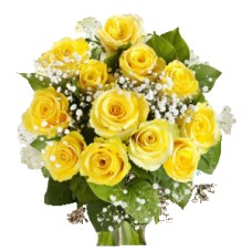 Bouquet of yellow roses