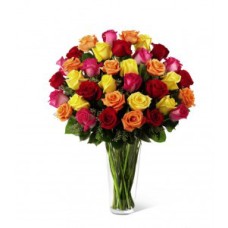 Bouquet of Roses Multicolored
