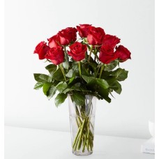 Long Stem Red Rose Bouquet (Standard - 12 Roses)