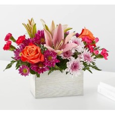 Light of My Life Box Bouquet (Standard)