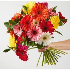 Sunkissed Gerbera Bouquet (Original Sunkissed Gerbera Bouquet)