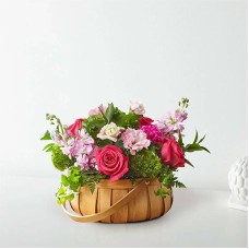 Radiance in Bloom Basket (Standard)