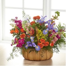 Garden of Life Basket (Standard)