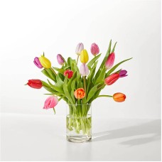 Spring's Calling Tulip Bouquet (15 Tulips)