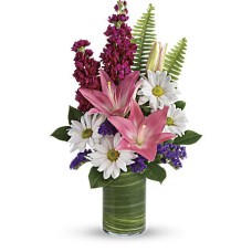 Giftblooms Playful Daisy Bouquet (Standard)