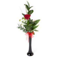 Single Red Rose with Vase (Standard)