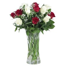 Red and white touch (Medium)