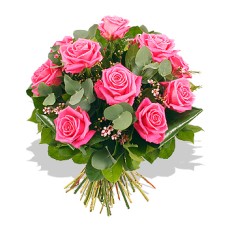 Pink Roses
