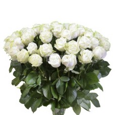 Bunch Of 50 White Roses