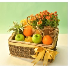 FRUIT BLISS FRUIT BASKET WITH FLOWERING PLANT