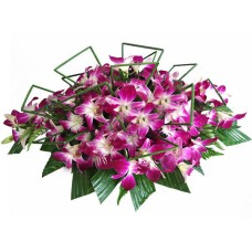 Orchids Coffee Table Arrangement